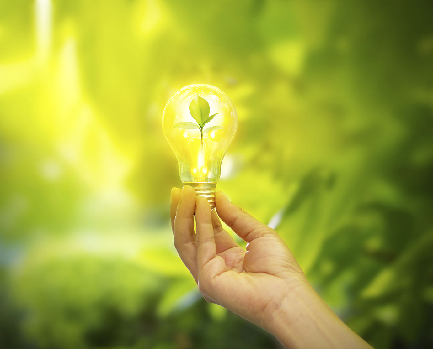 Image: Eco Desafio 2015 premia ideias sustentáveis de jovens empreendedores